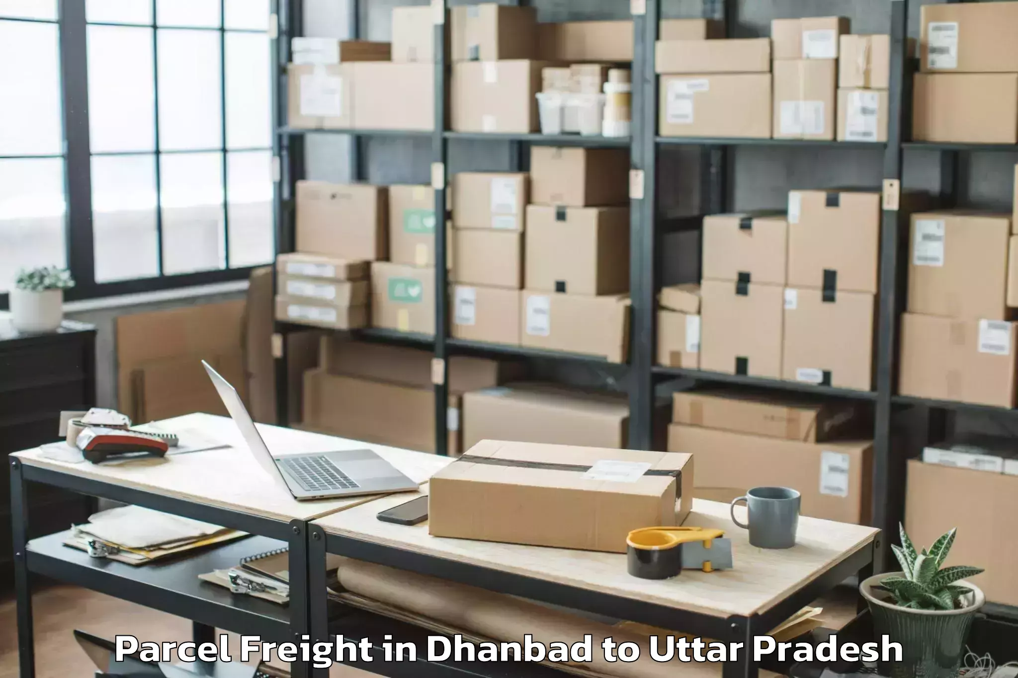 Efficient Dhanbad to Maharishi University Lucknow Parcel Freight